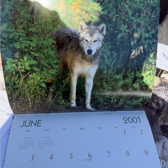 2000 & 2001 Wolves Themed Calendars & National Geographic Magazine - Picture 10 of 14